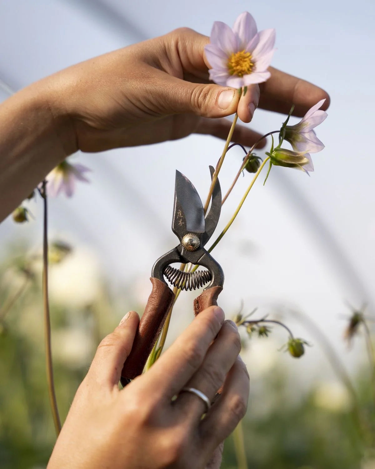 Mini Secateurs Japanese Pruners