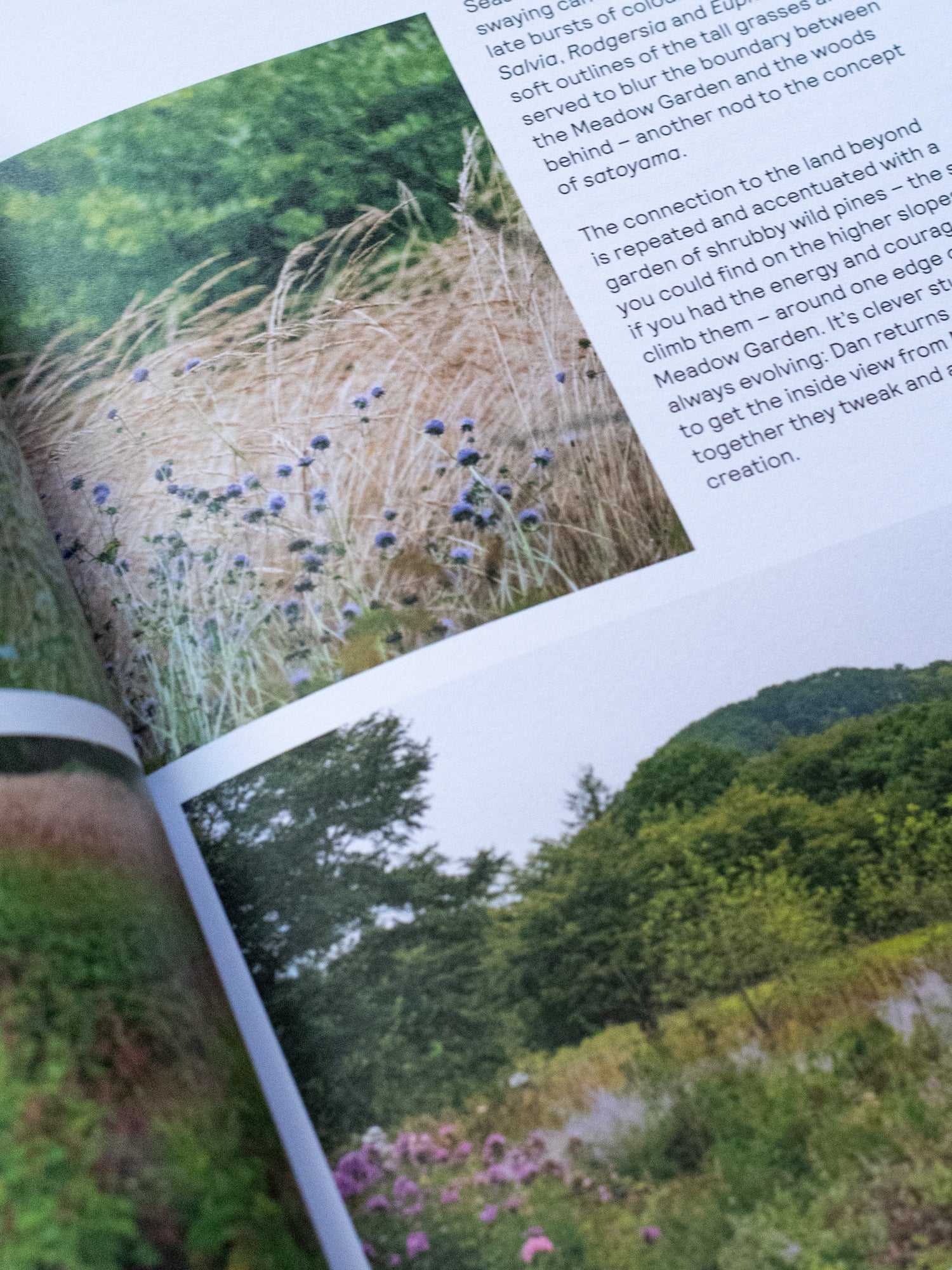 Niwaki Field Report No. 1