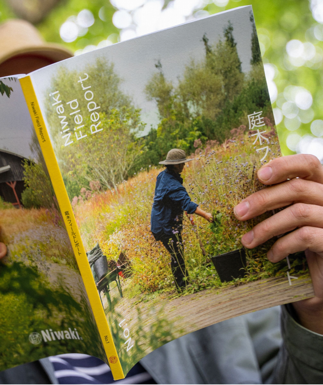 Niwaki Field Report No. 1