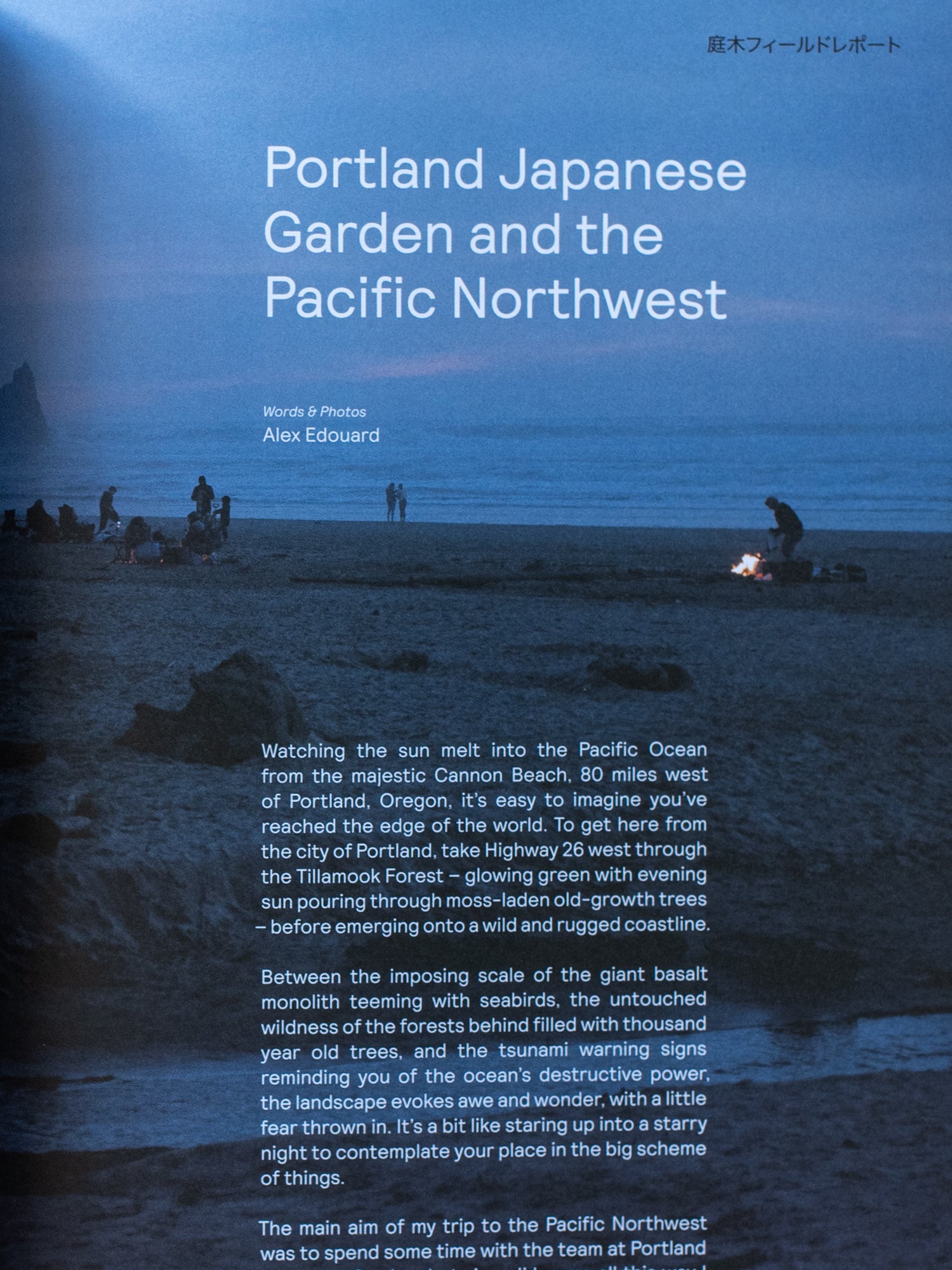 Niwaki Field Report No. 2