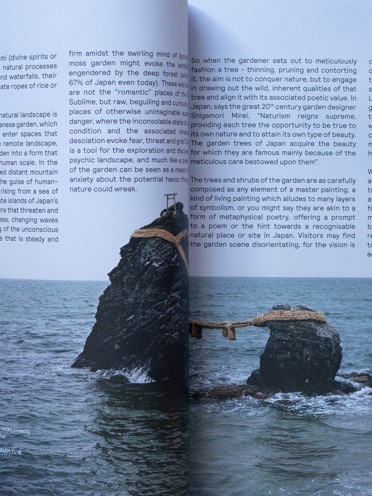 Niwaki Field Report No. 2