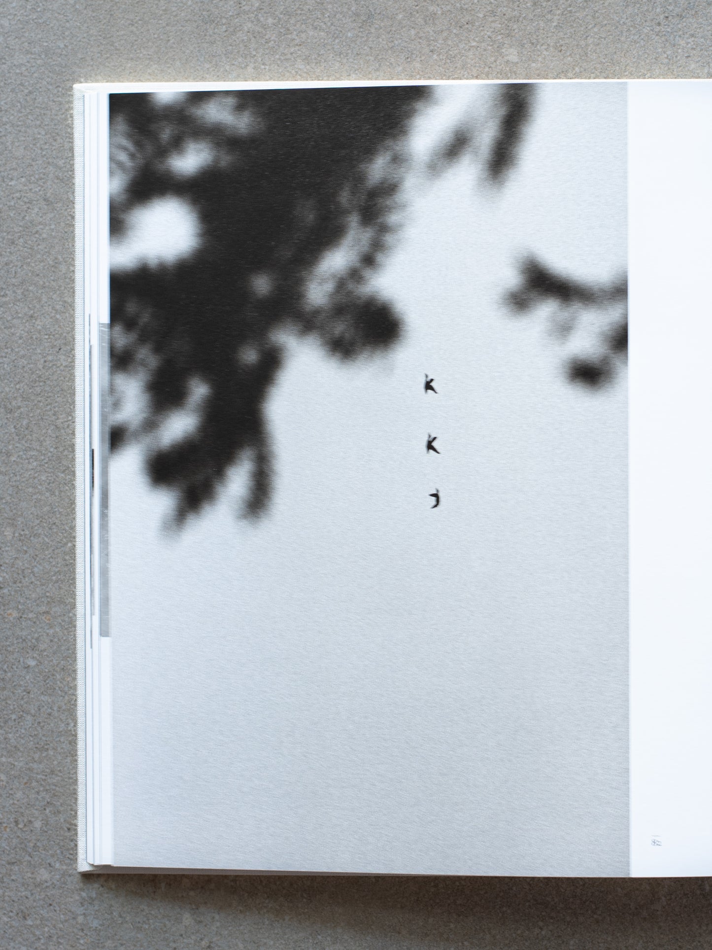 Sohei Nishino: Water Line