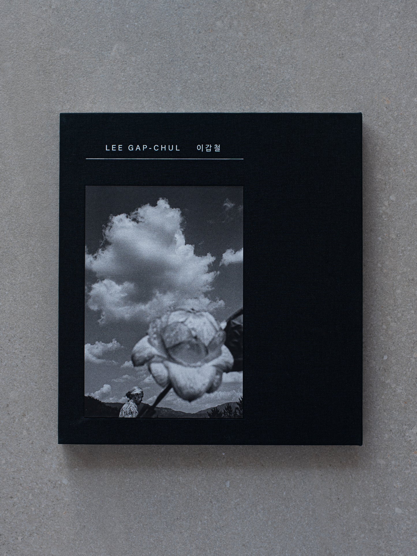 Lee Gap-Chul