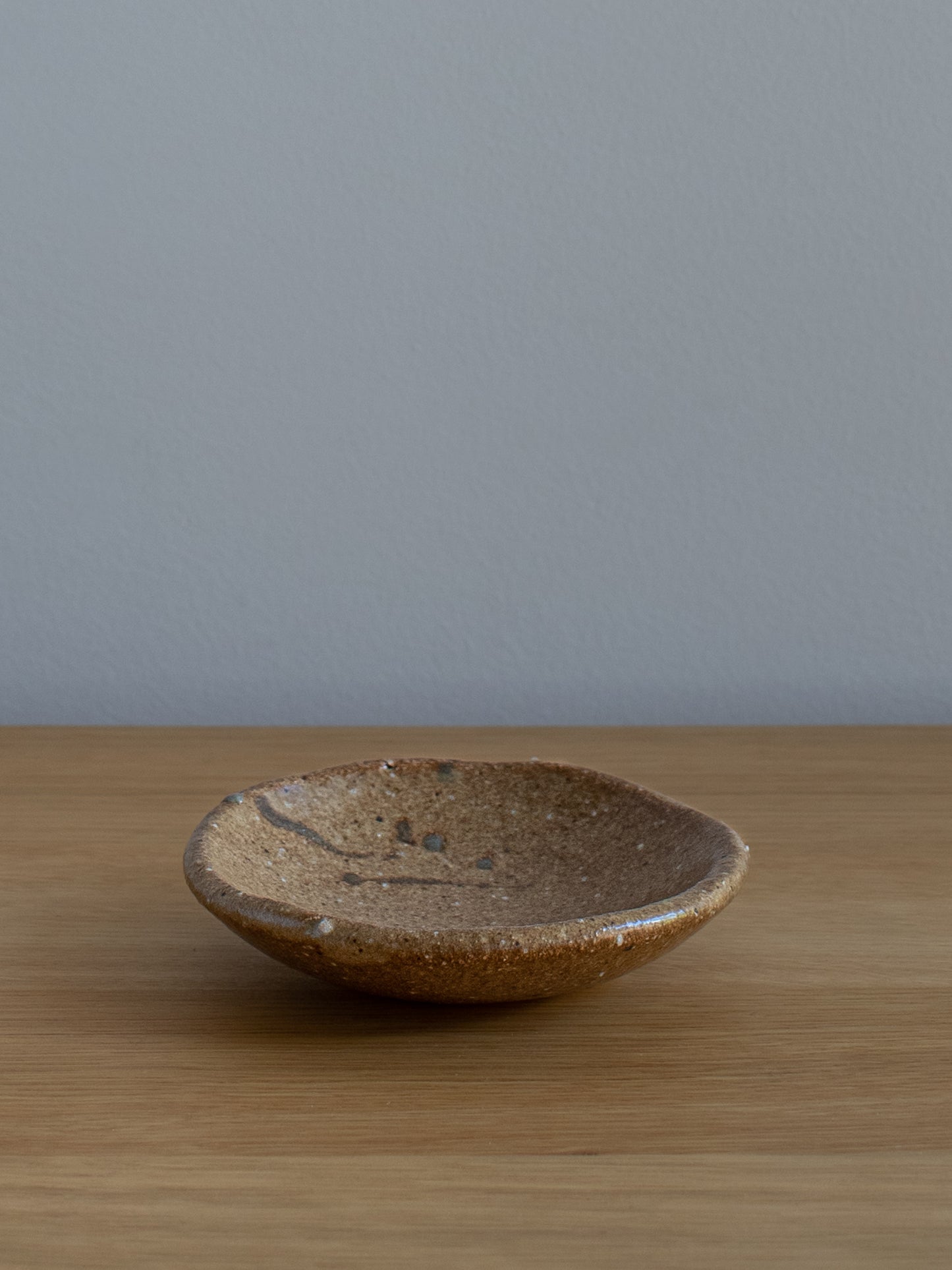 Shigaraki Dish - Ochre