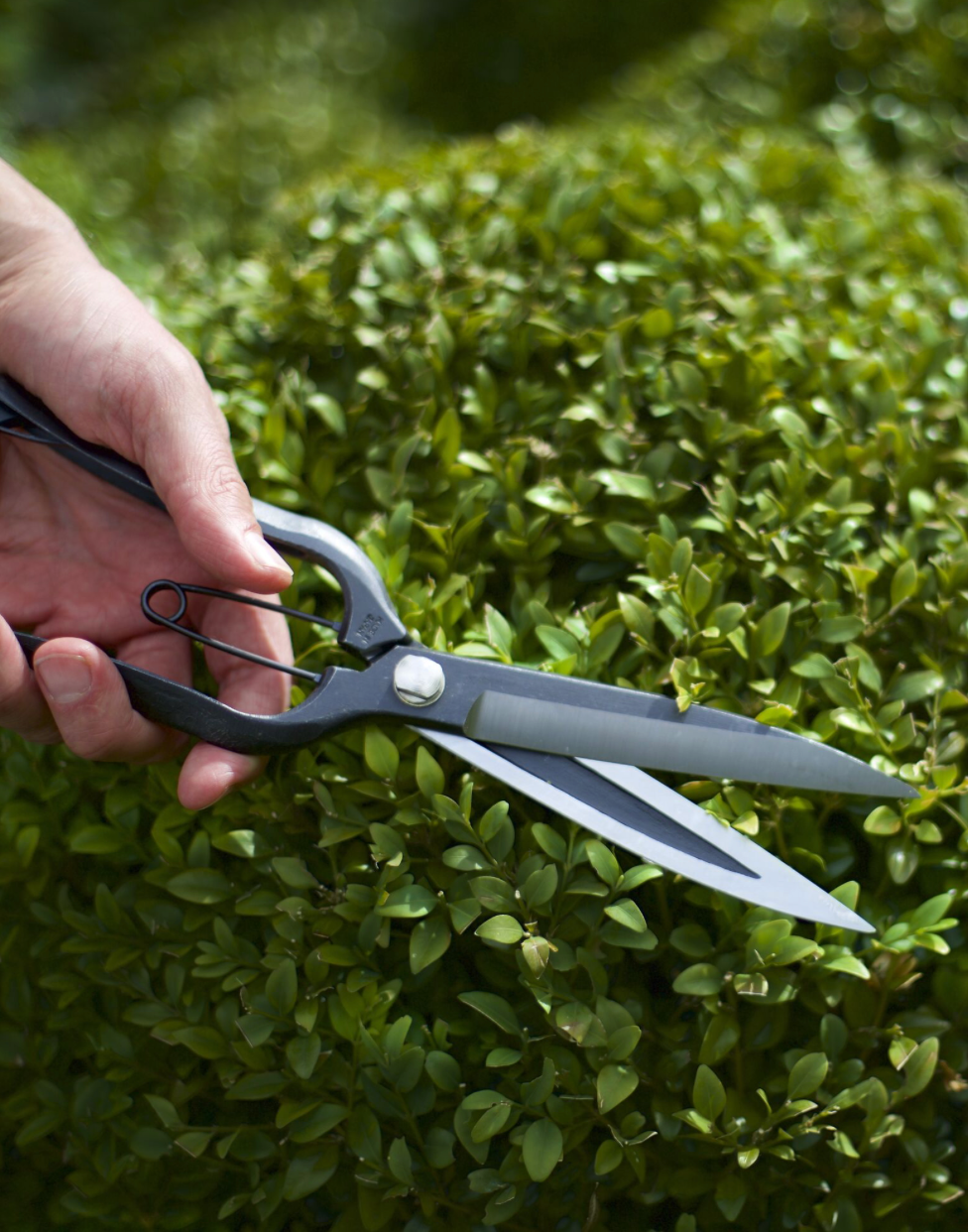 Sentei Topiary Clippers