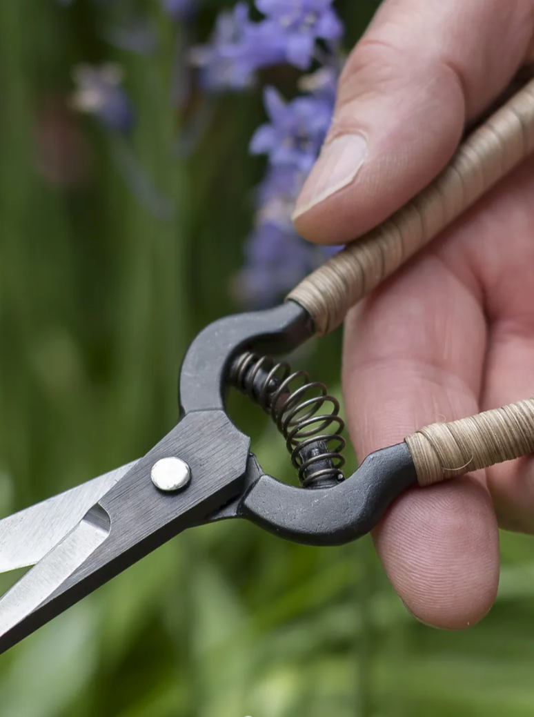 Rattan Snips