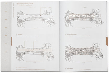 Julia Watson. Lo—TEK. Design by Radical Indigenism