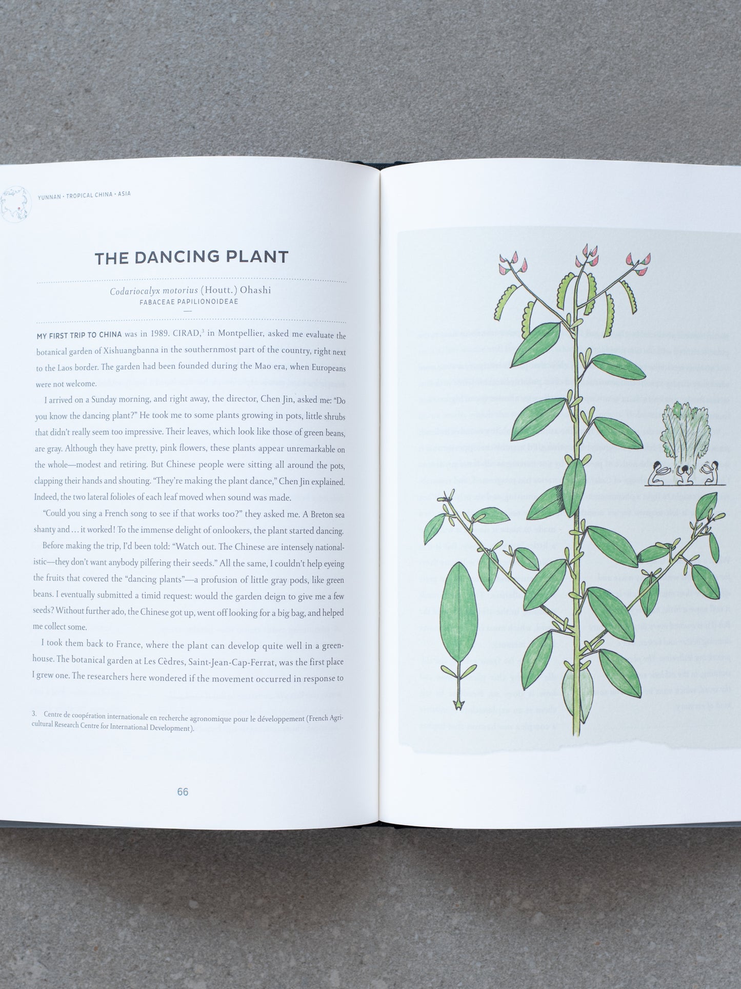 Atlas of Poetic Botany