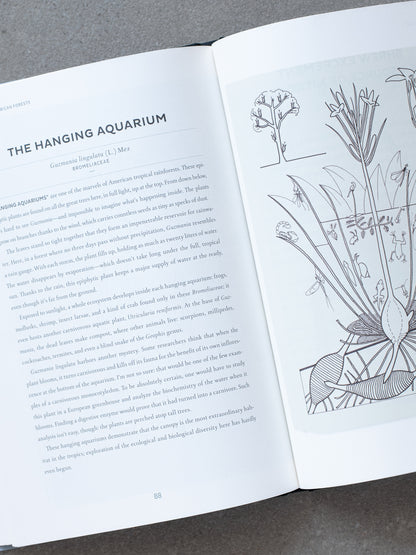 Atlas of Poetic Botany