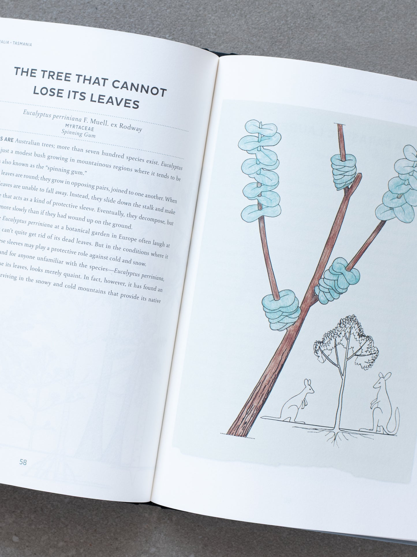 Atlas of Poetic Botany