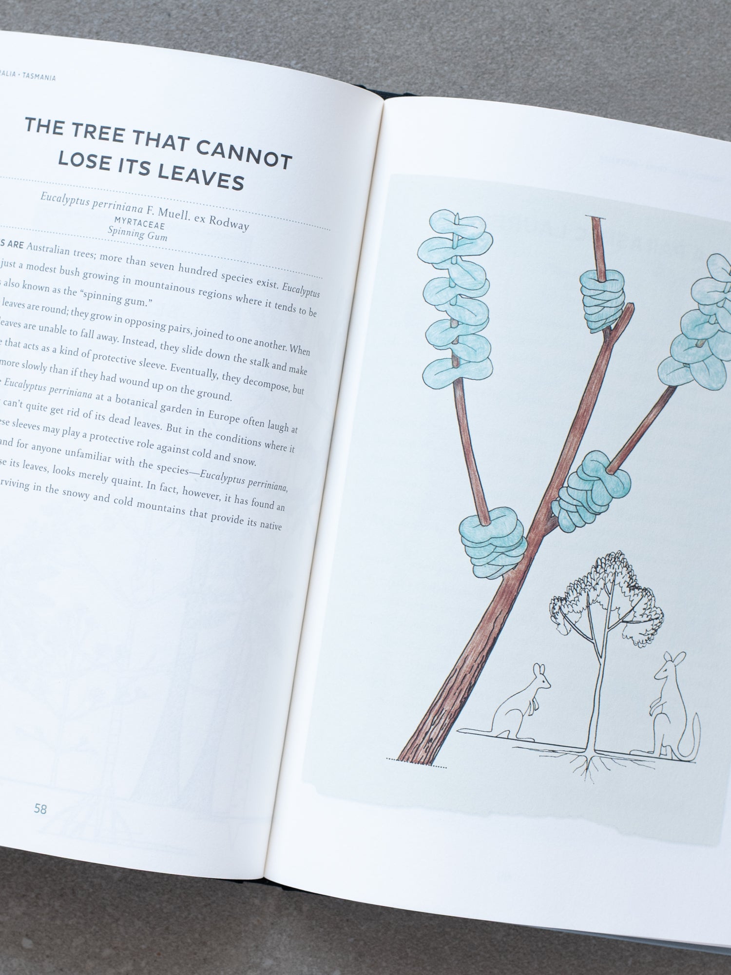 Atlas of Poetic Botany