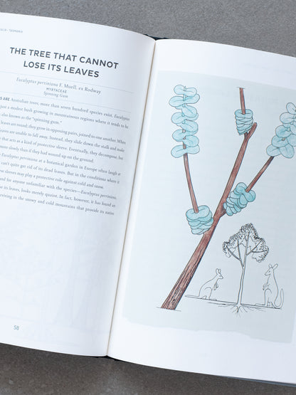 Atlas of Poetic Botany