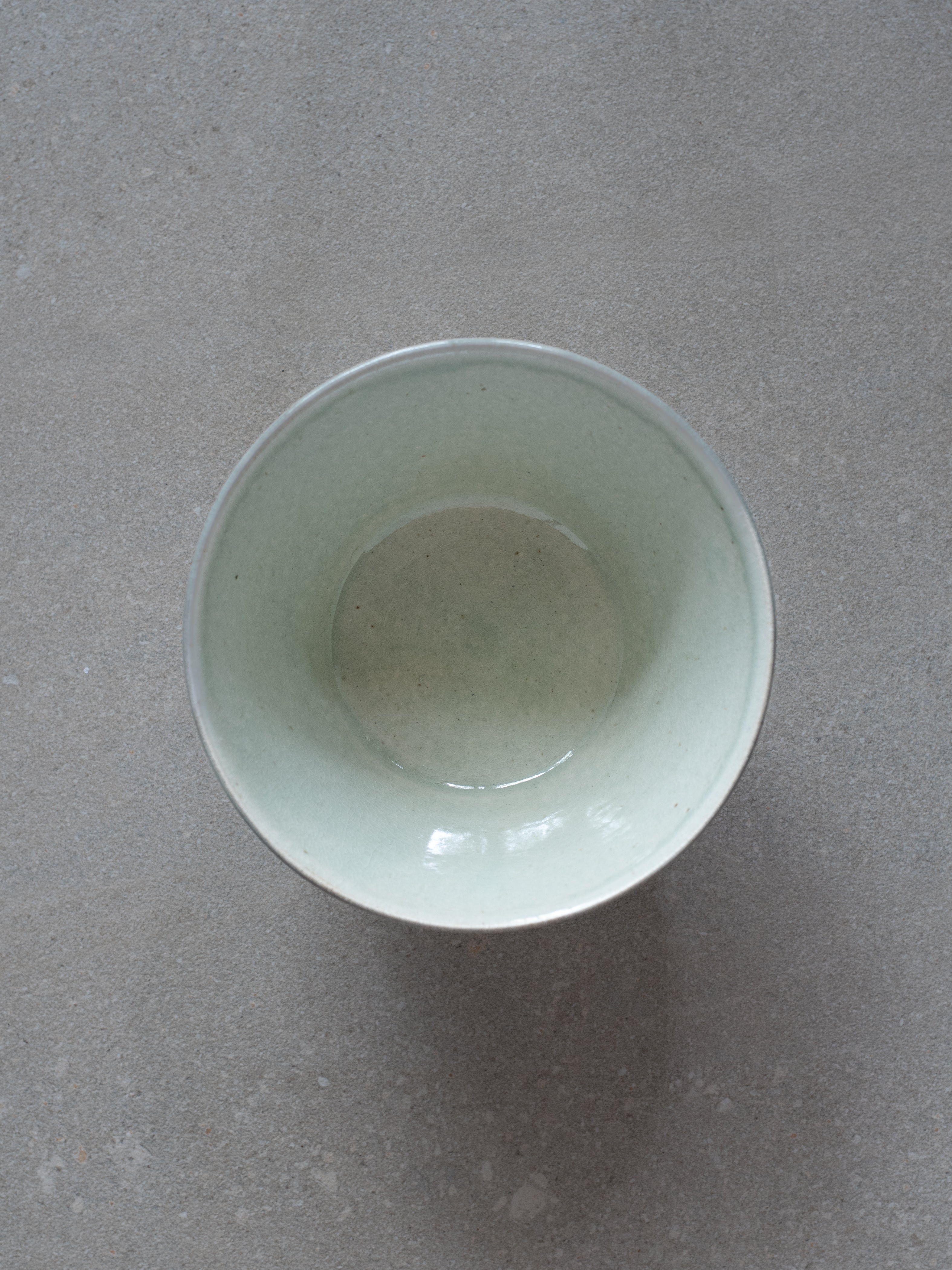 Shigaraki Large Bowl - Celadon