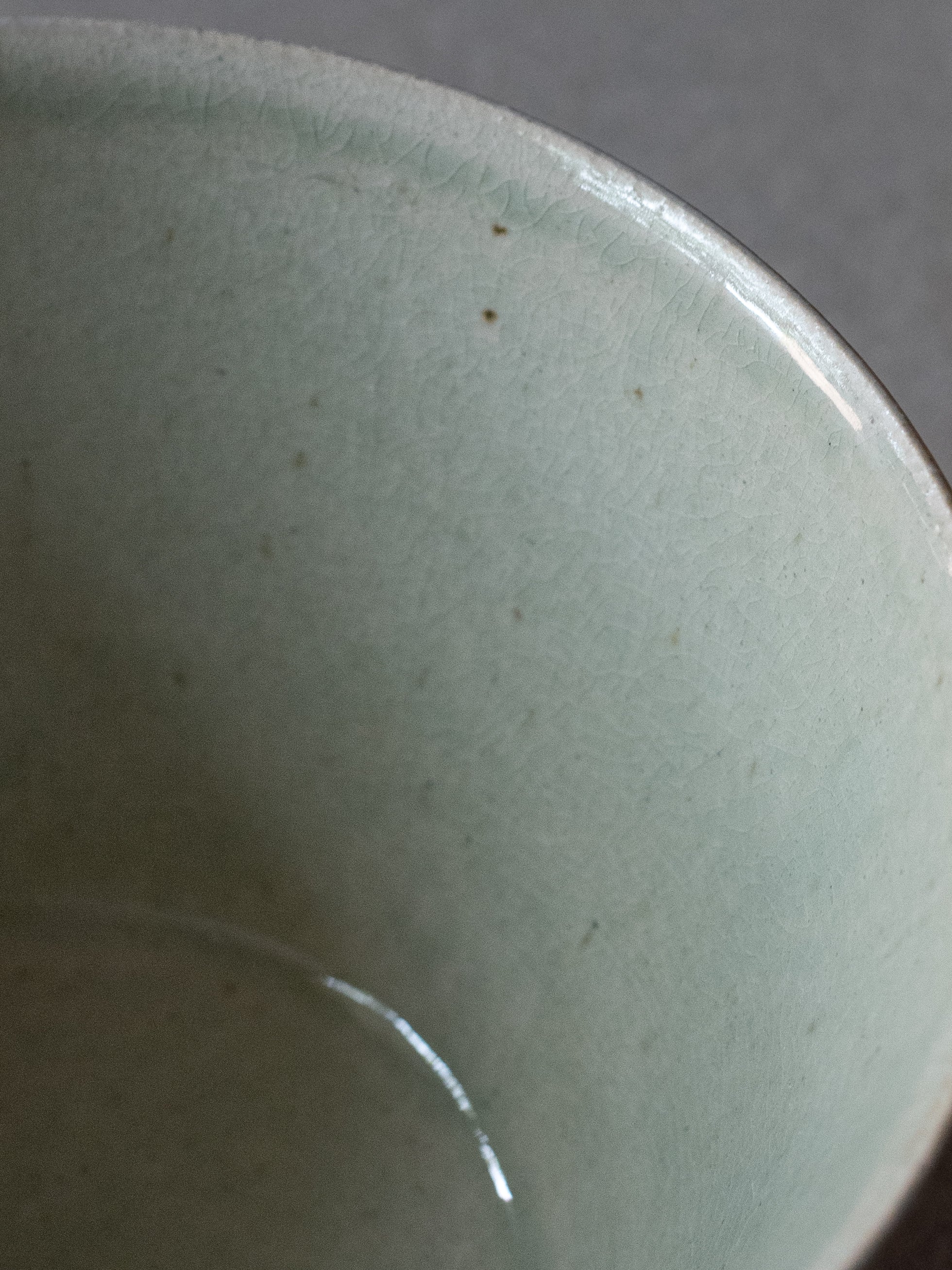Shigaraki Large Bowl - Celadon