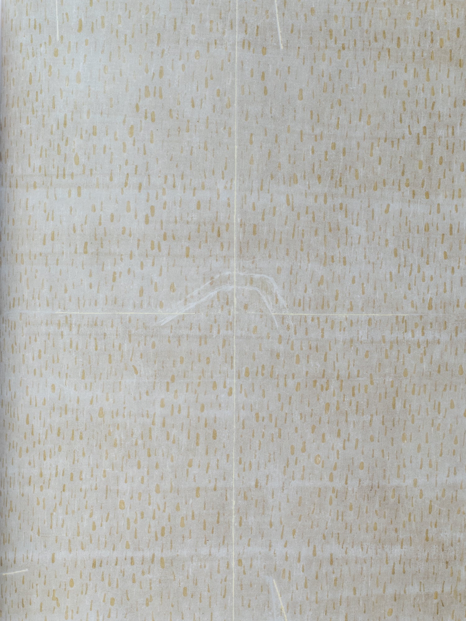 Huong Dodinh: Transcendence