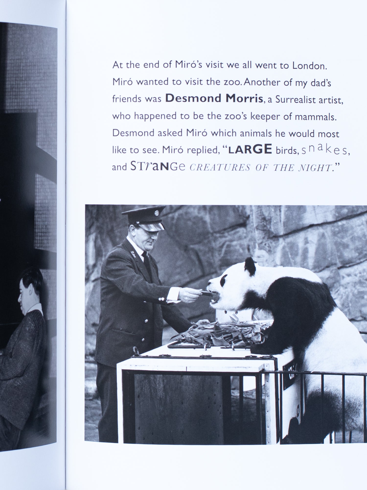 Miró’s Magic Animals