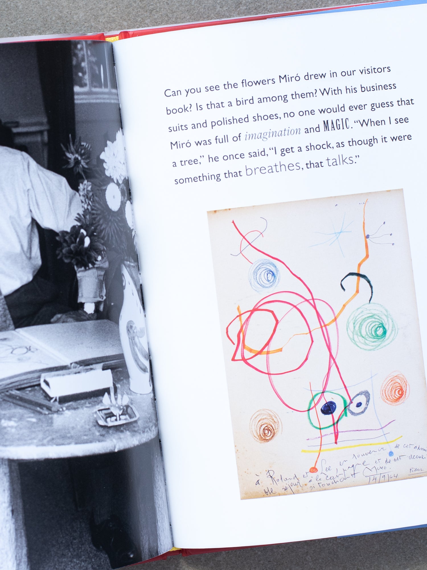 Miró’s Magic Animals