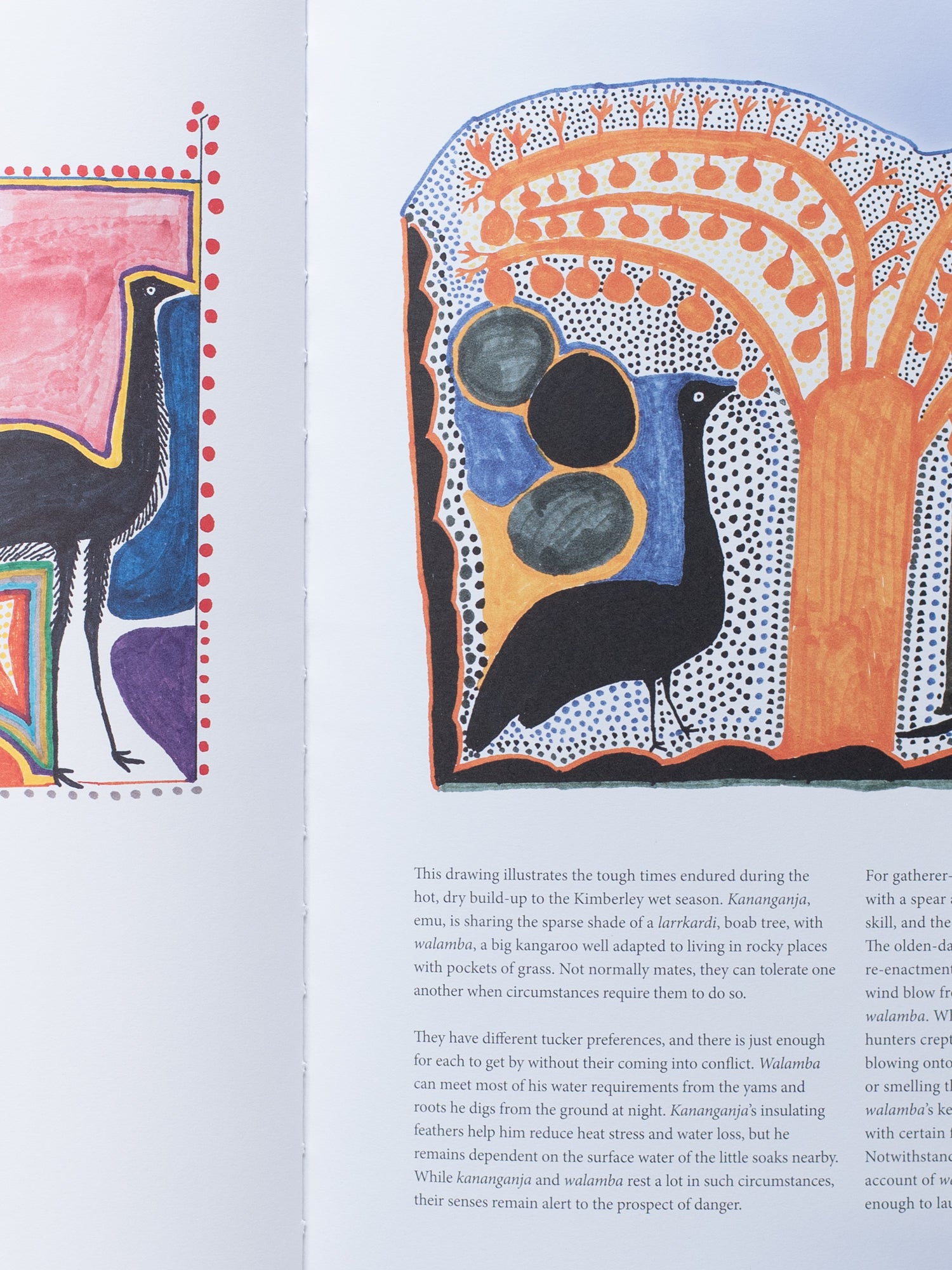 Ngarra: The texta Drawings