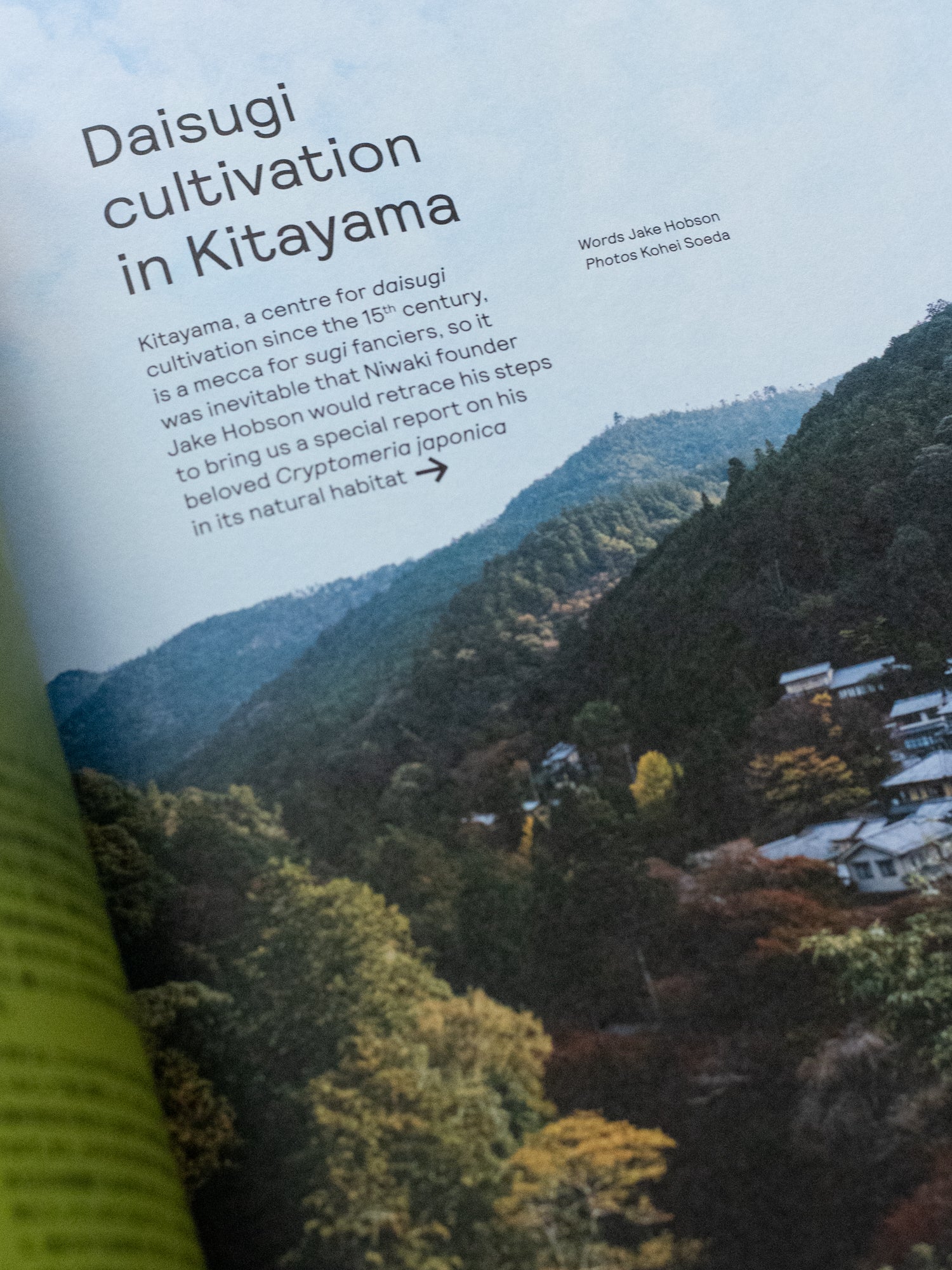 Niwaki Field Report No. 1