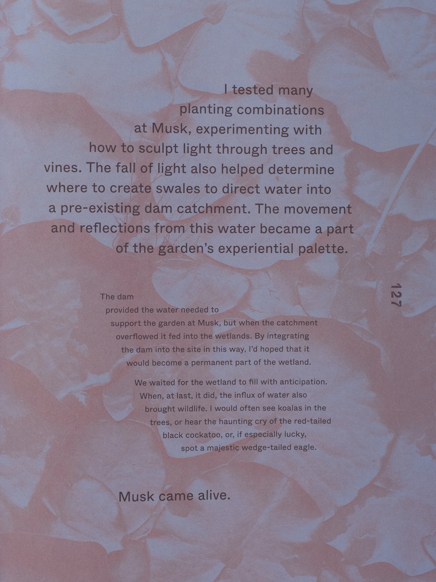 Rogue: Art of a Garden