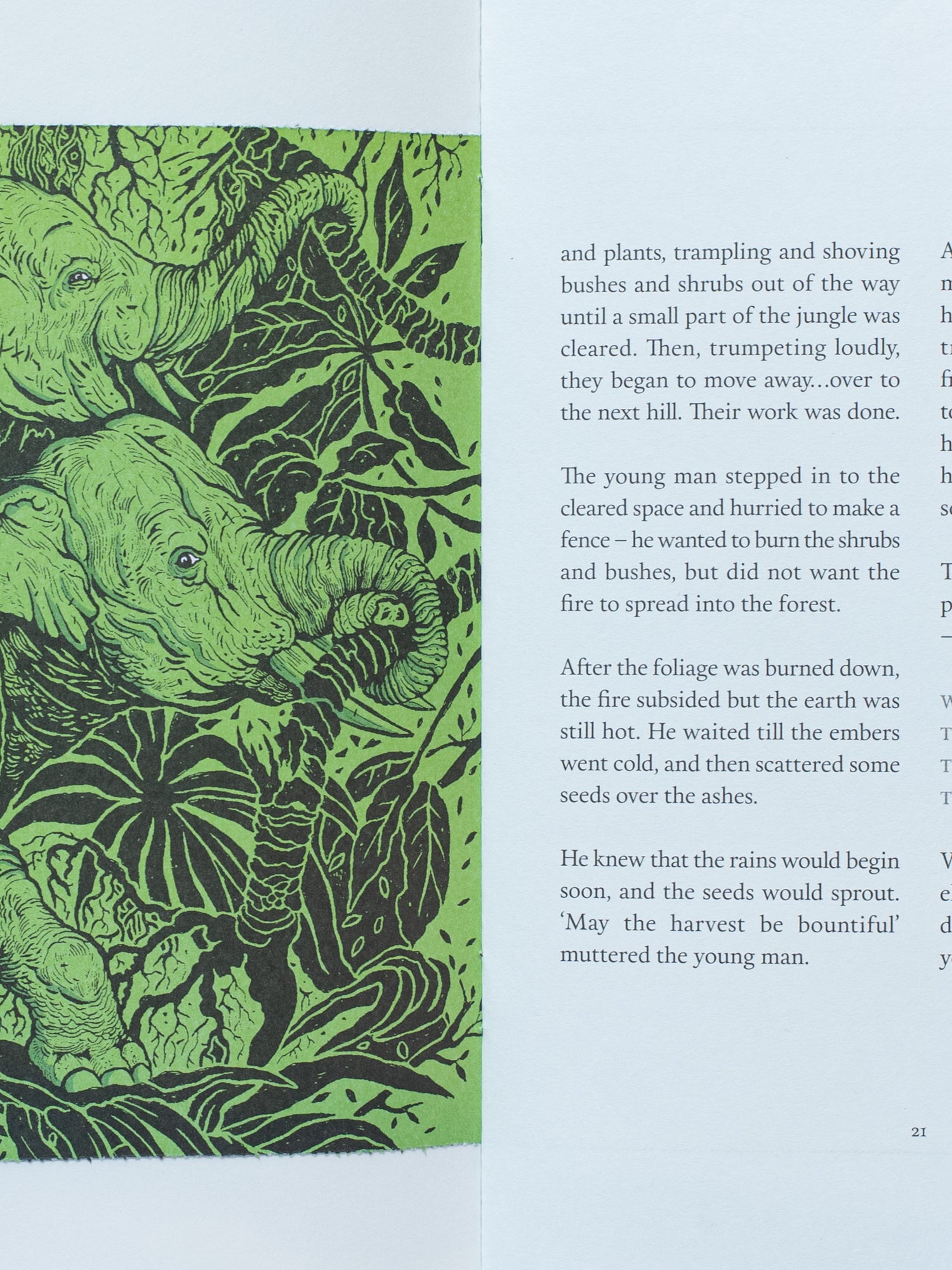 Speaking to an Elephant and Other Tales From the Kadars