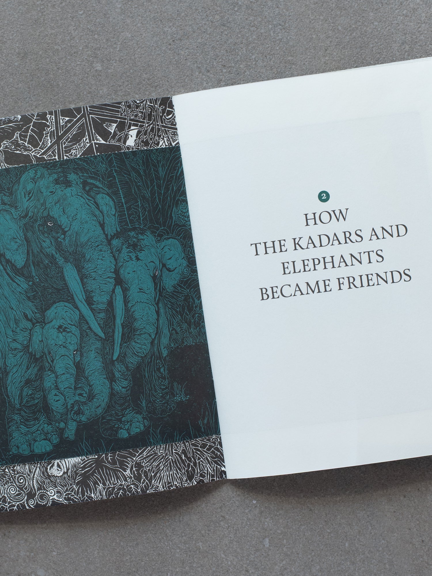 Speaking to an Elephant and Other Tales From the Kadars