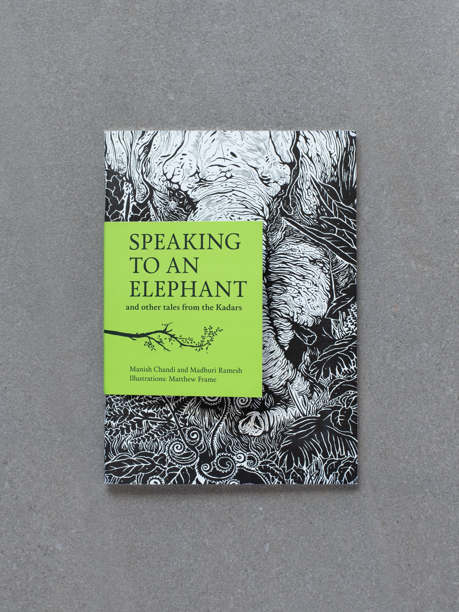 Speaking to an Elephant and Other Tales From the Kadars
