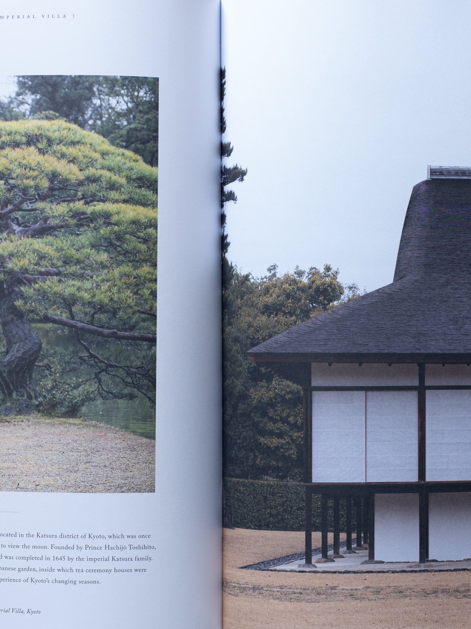 Stillness: An Exploration of Japanese Aesthetics in Architecture and Design