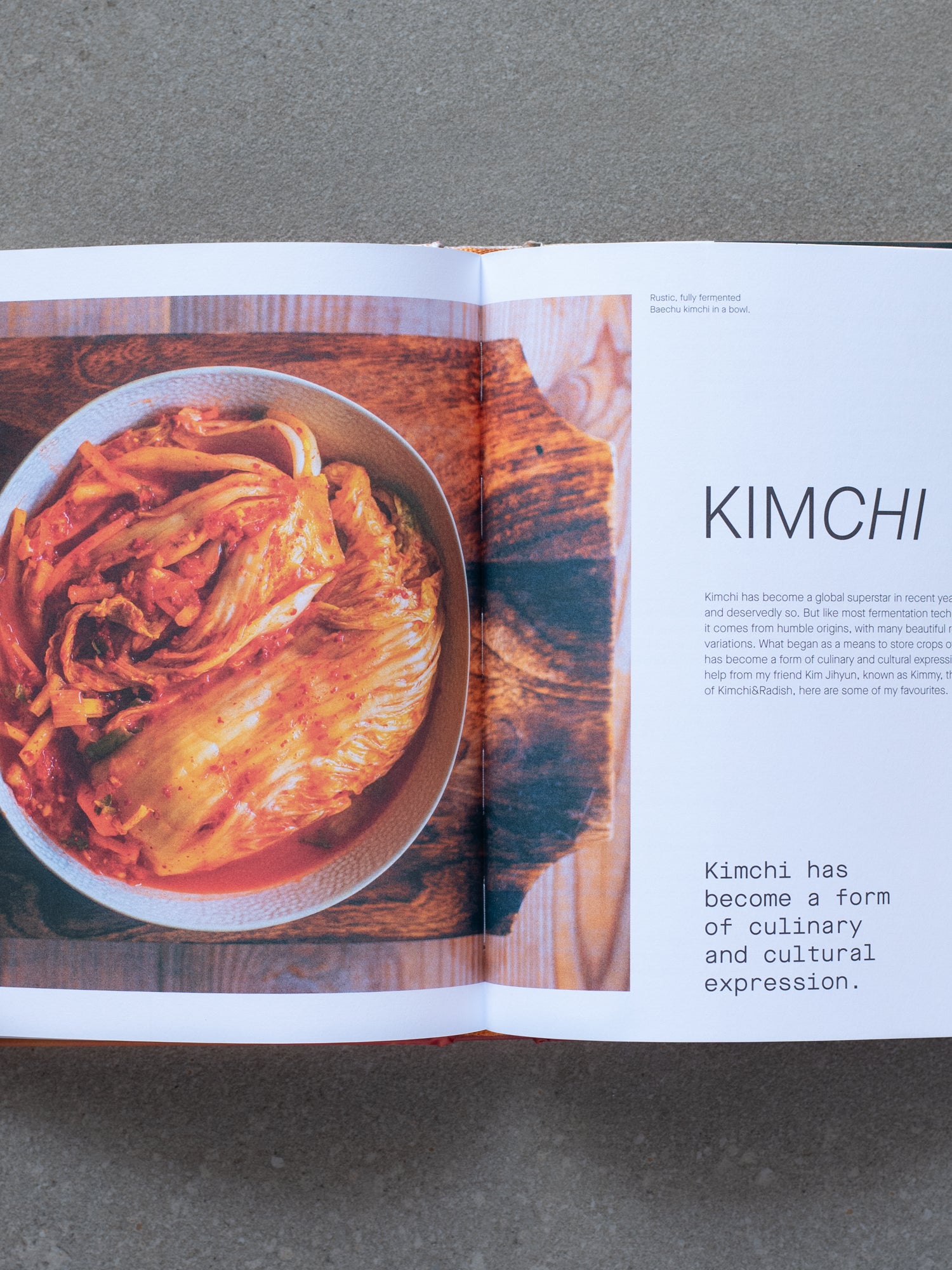 The Fermentation Kitchen