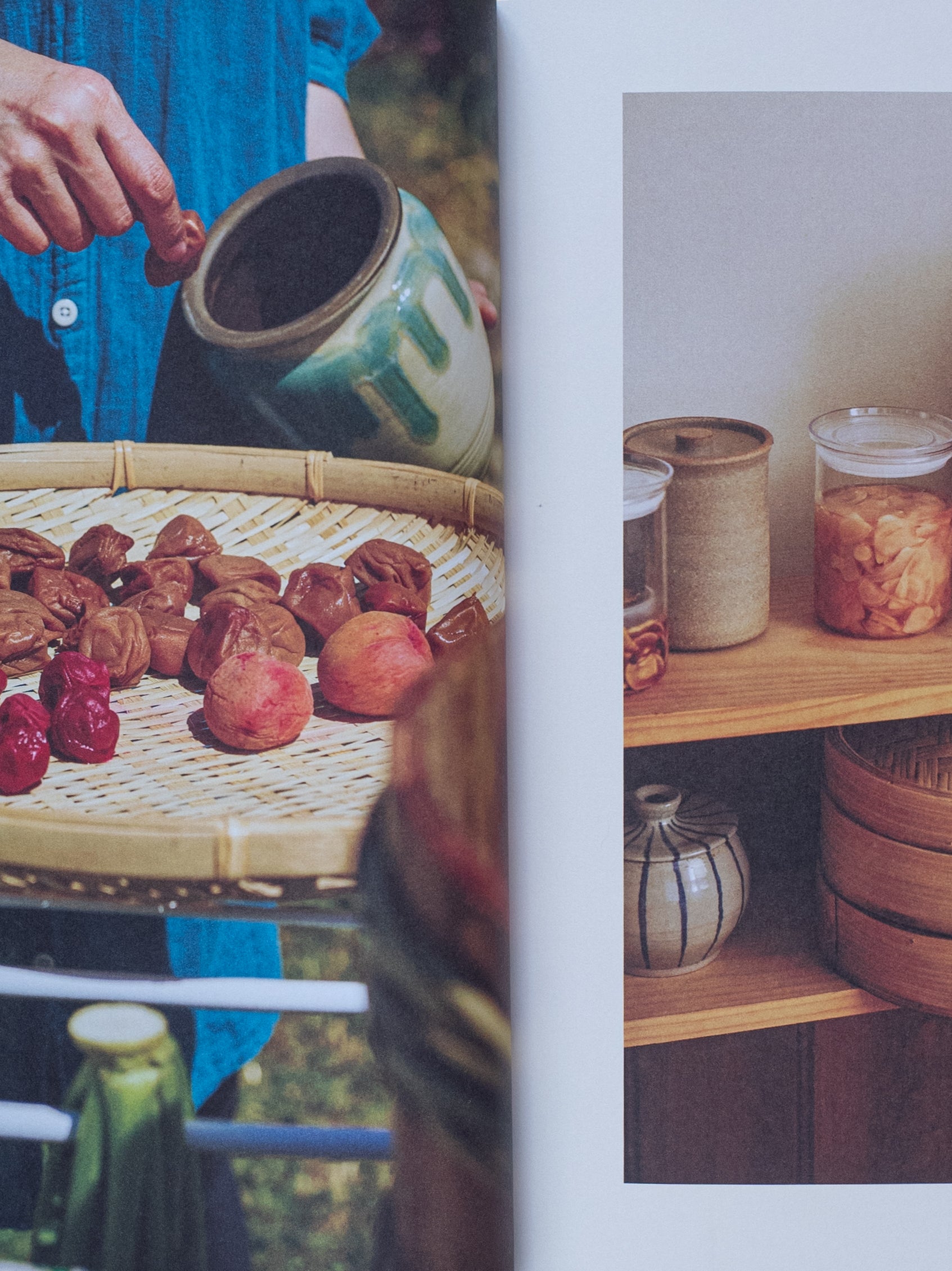 The Japanese Art of Pickling & Fermenting