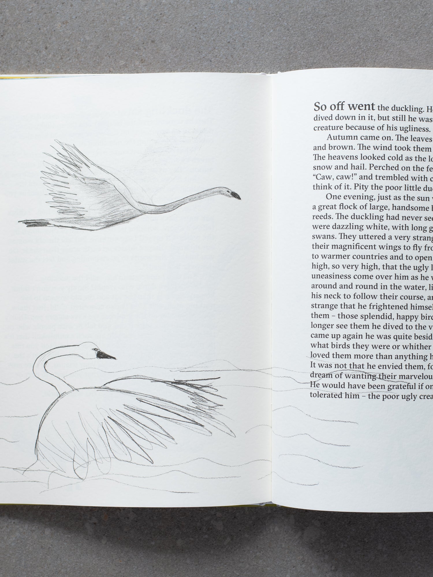The Ugly Duckling: Marina Abramovic