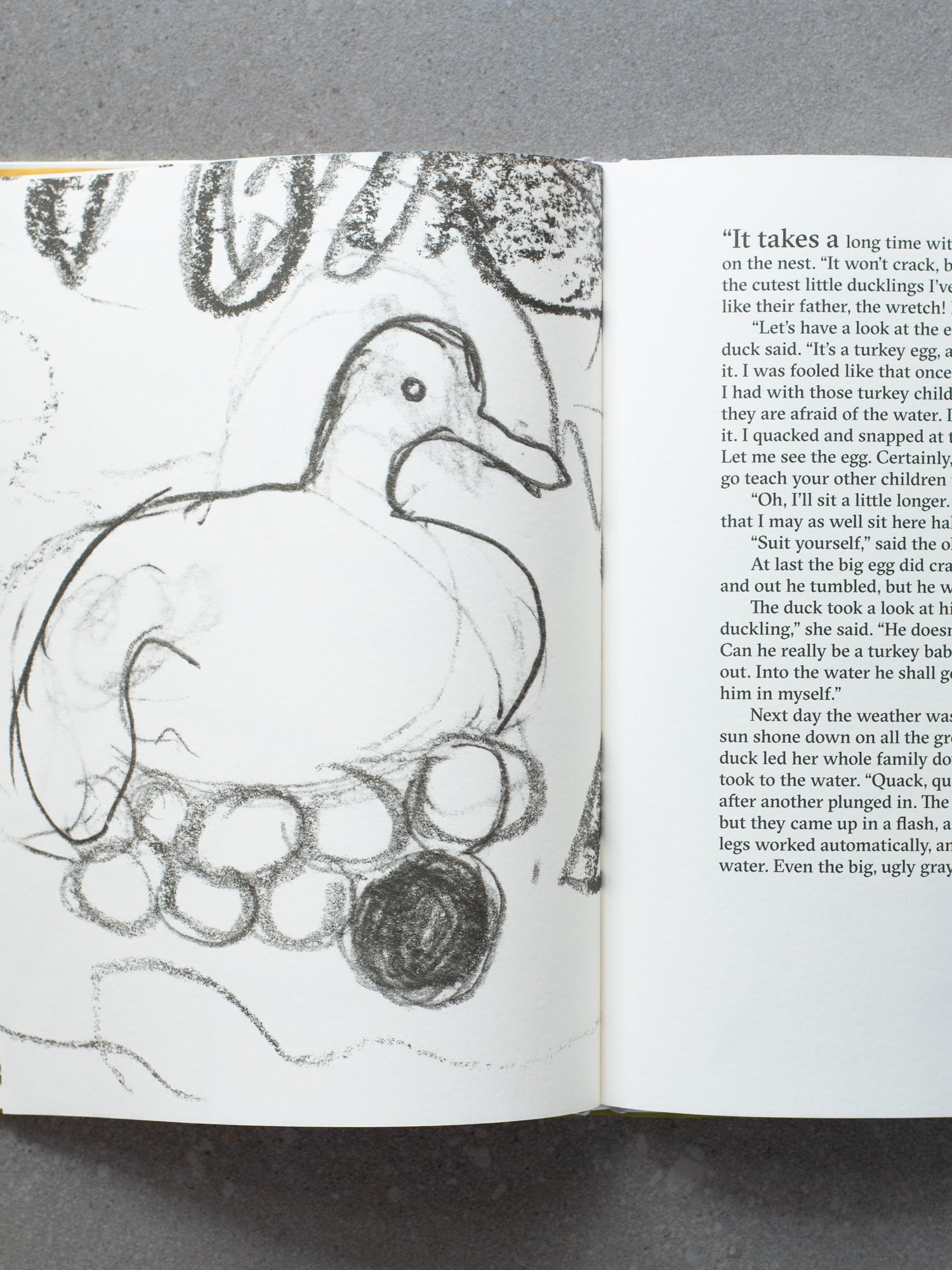 The Ugly Duckling: Marina Abramovic