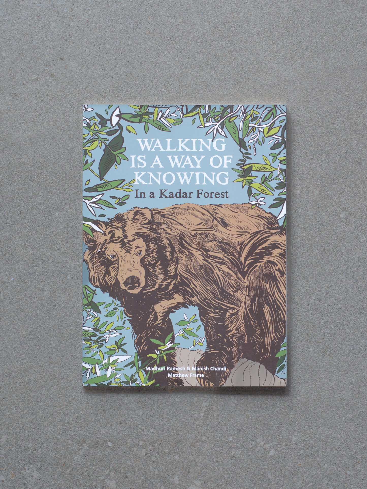 Walking is a a Way of Knowing