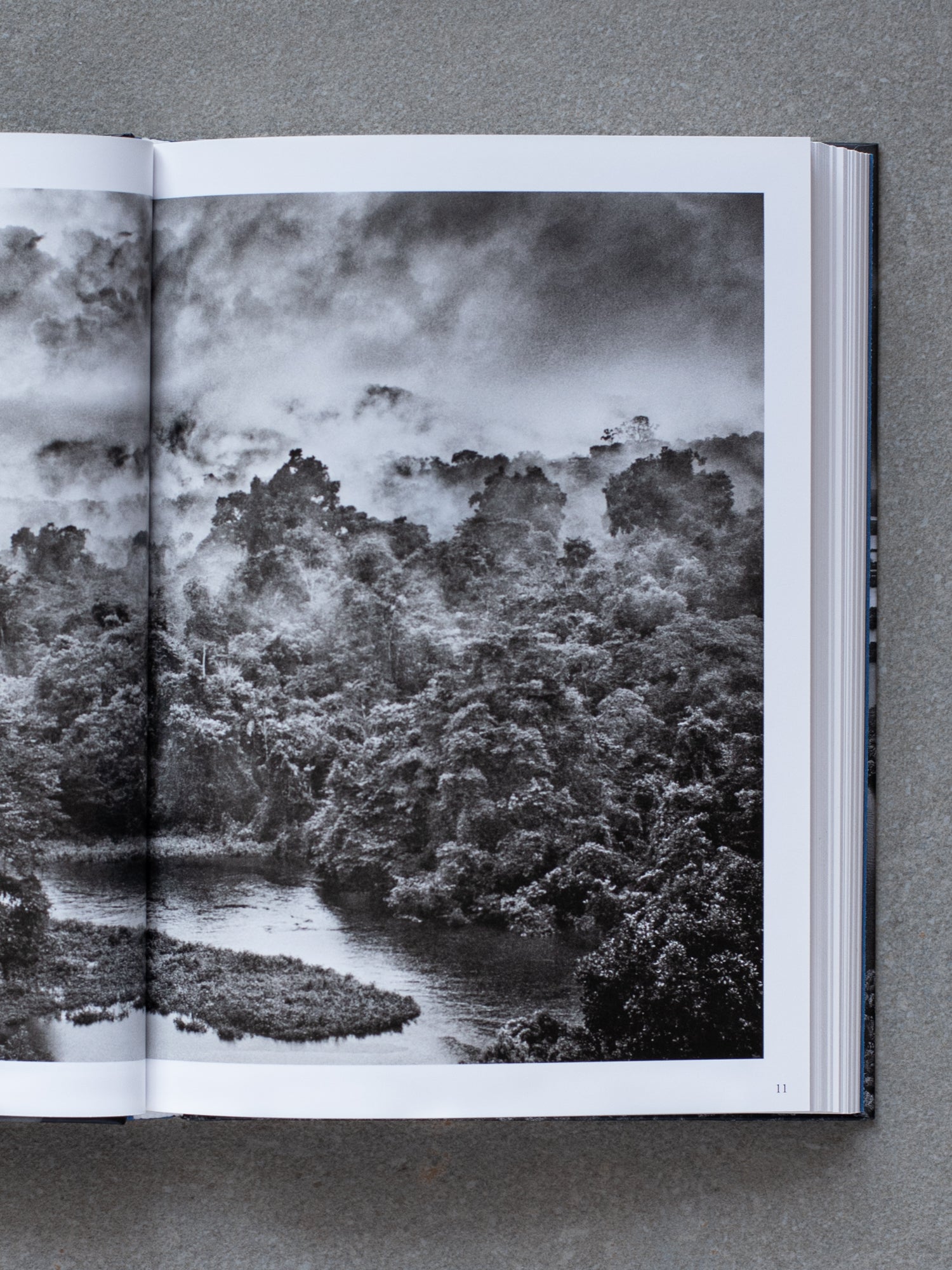 Sebastião Salgado. Amazônia