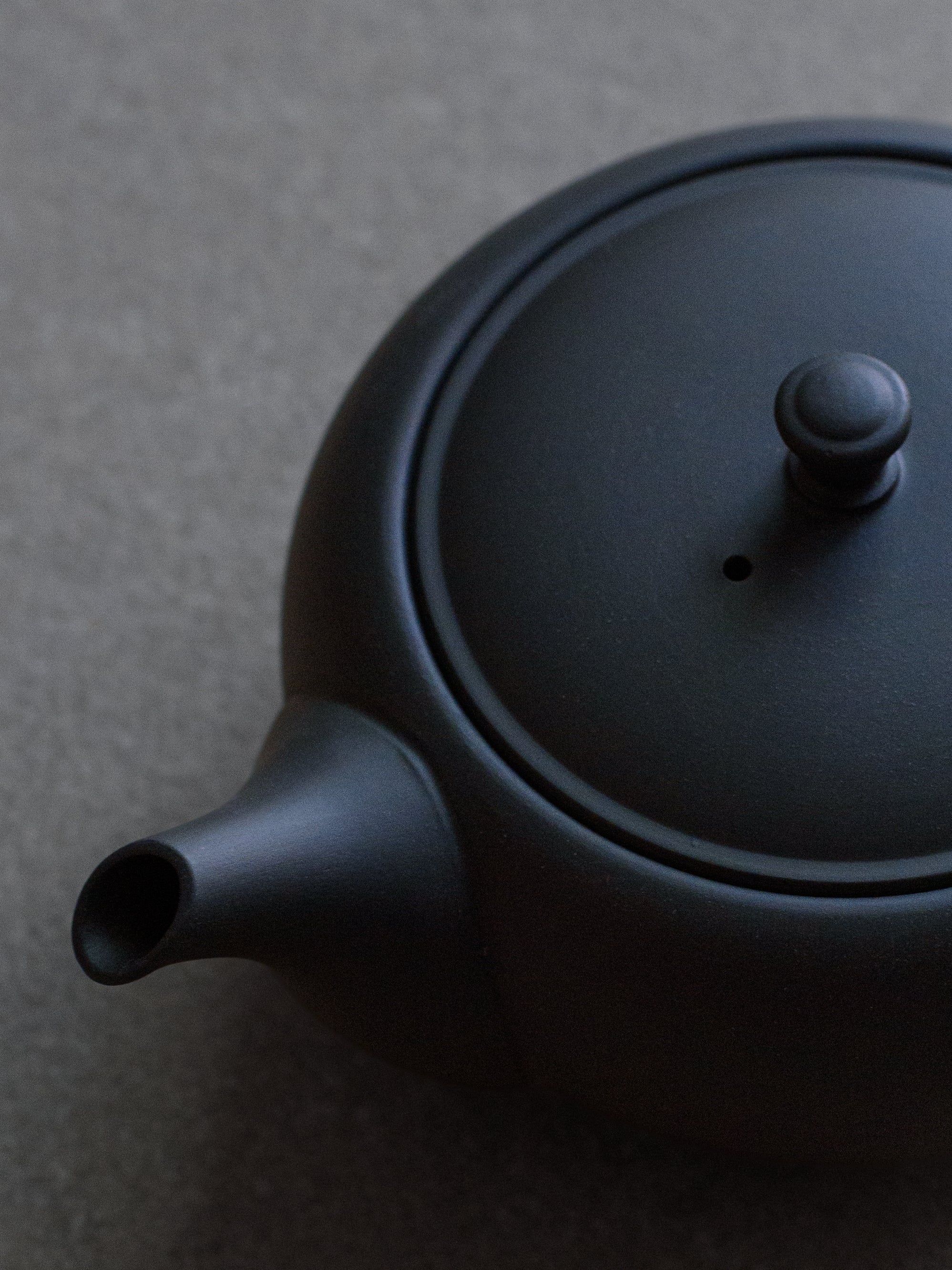 Hira-Kyusu Teapot