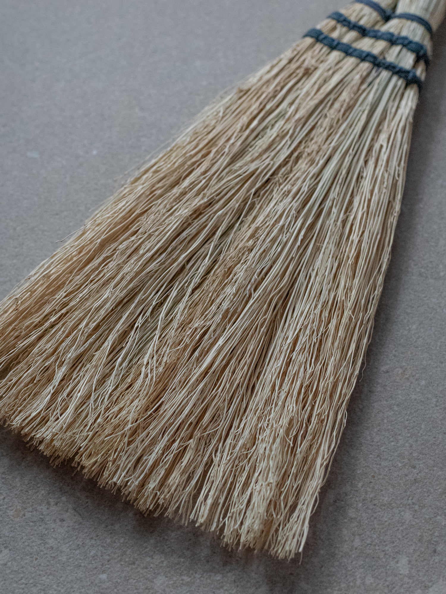 Japanese Grass Broom - Medium