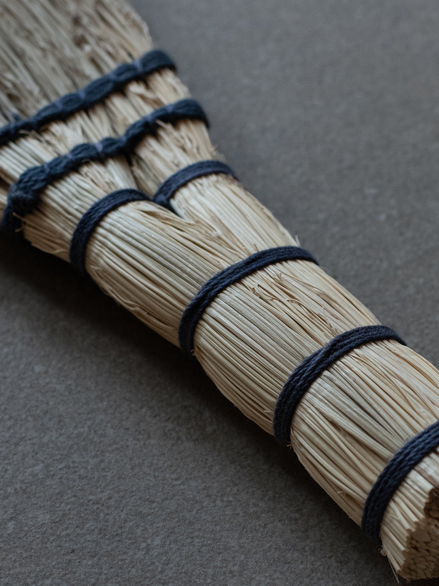 Japanese Grass Broom - Medium