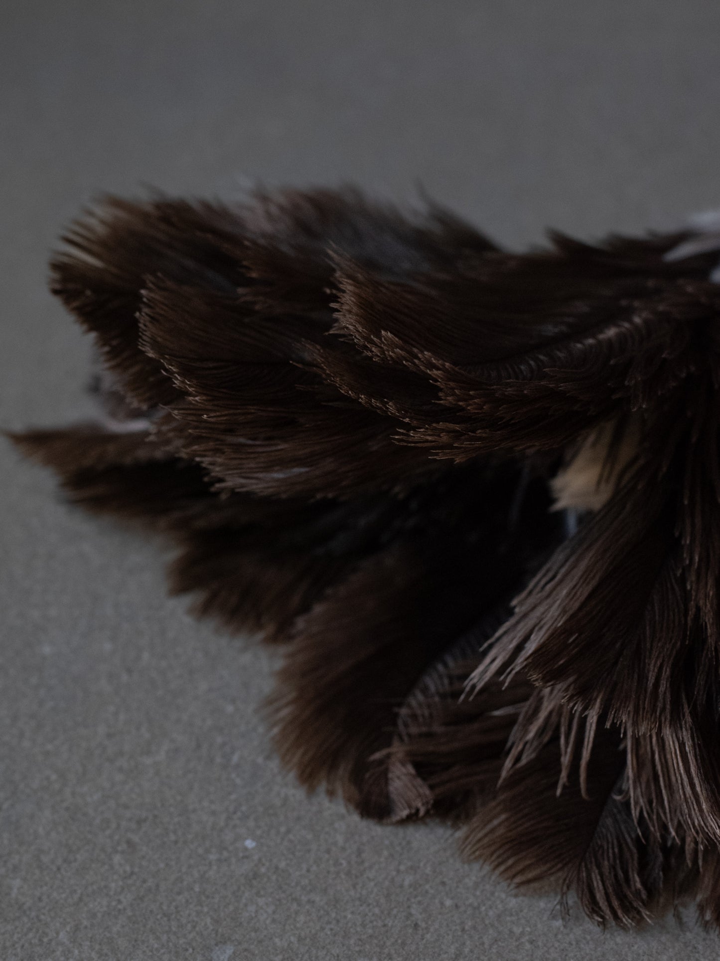 Ostrich Feather Duster - Medium