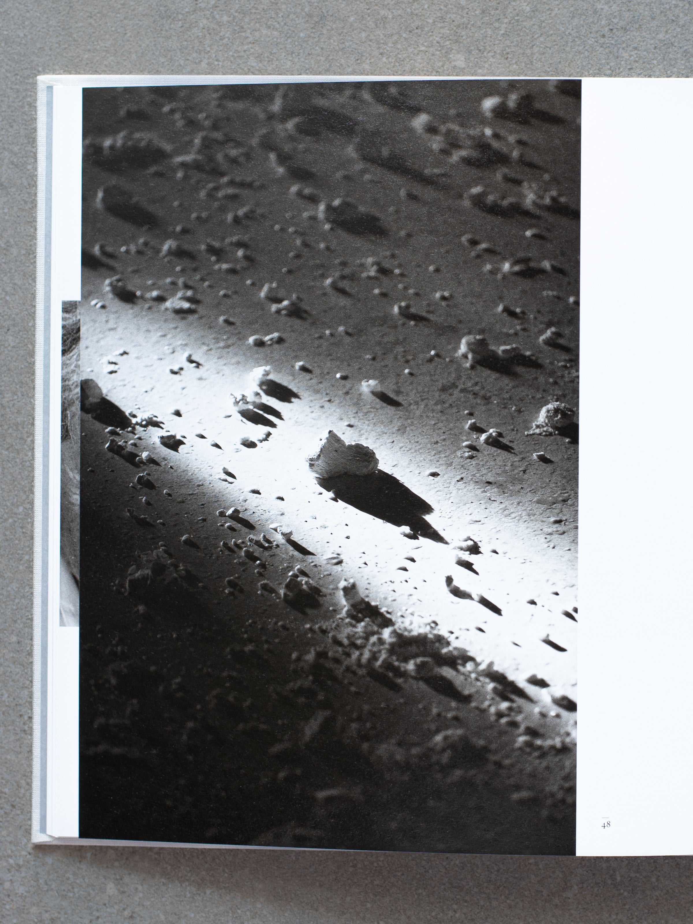 Sohei Nishino: Water Line