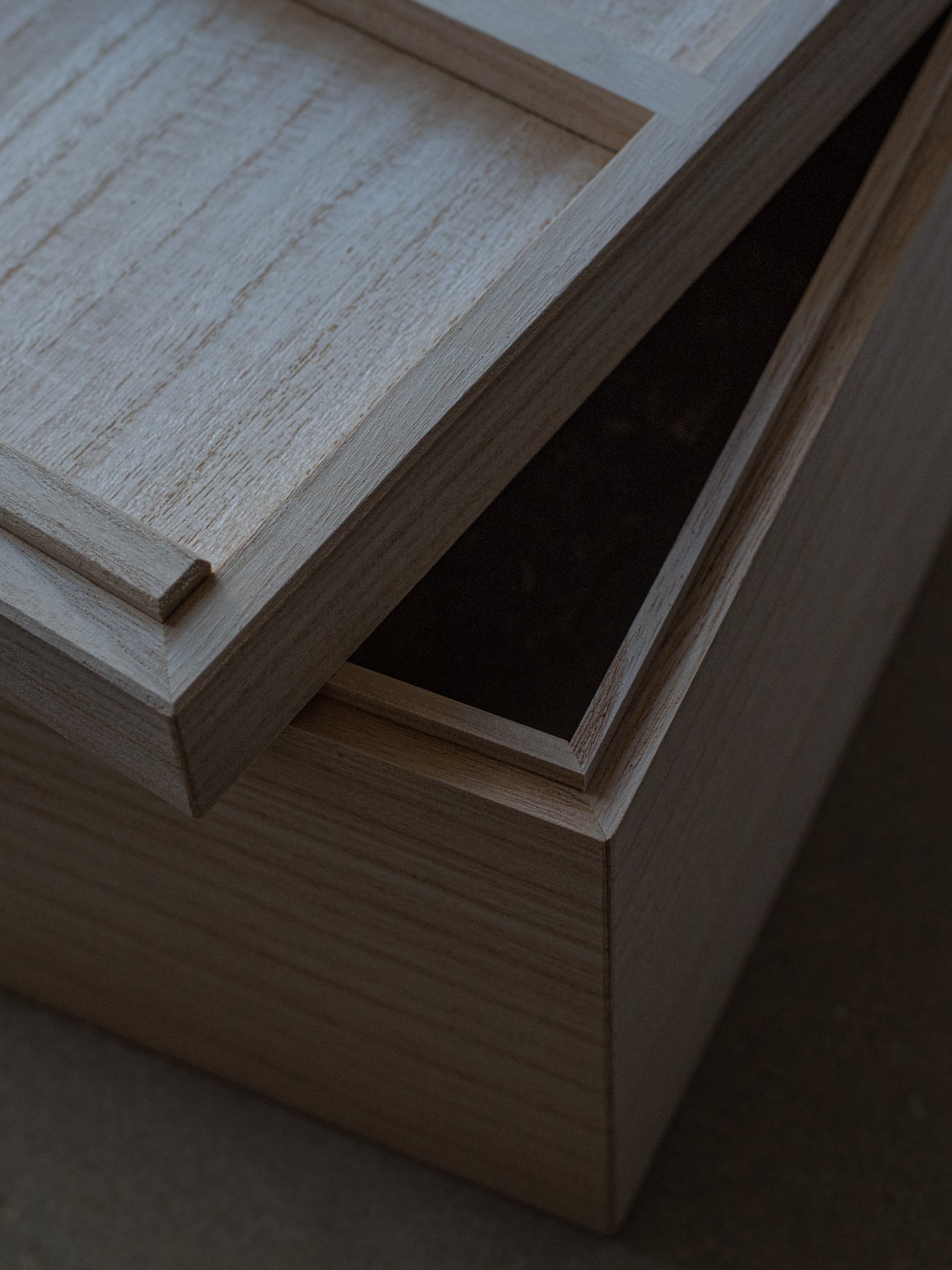 Rice Storage Box