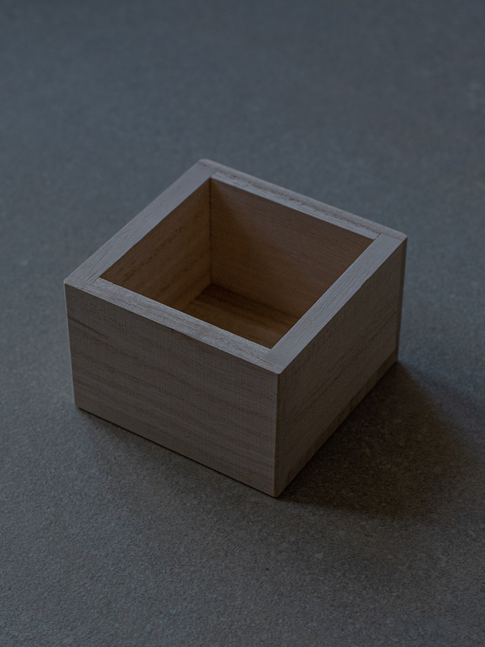 Rice Storage Box