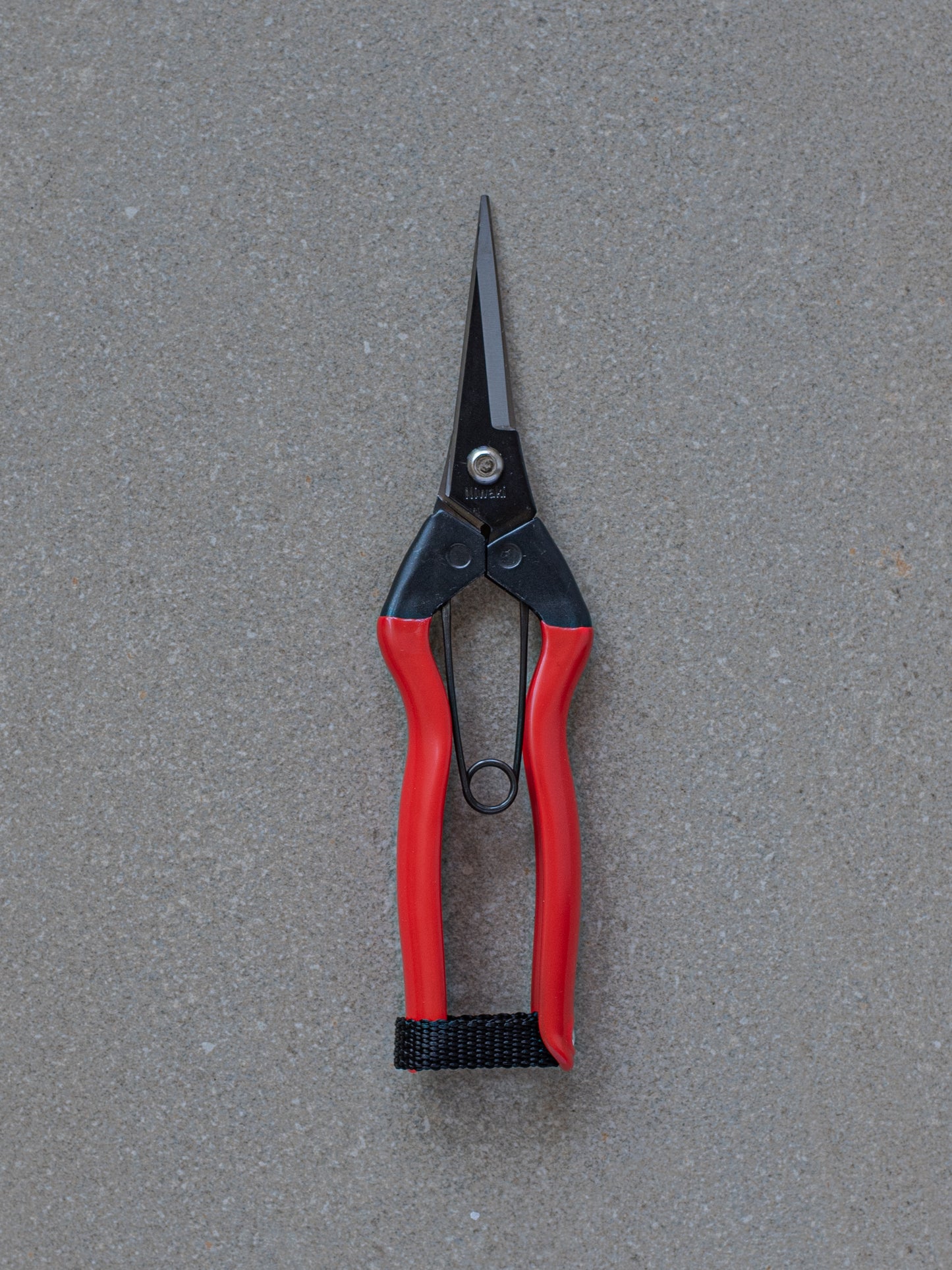 Garden Snips