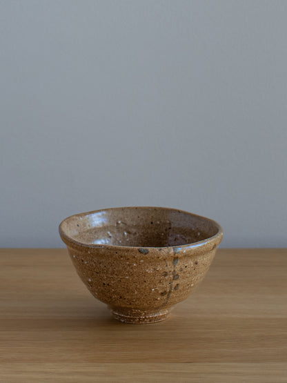 Shigaraki Rice Bowl - Ochre