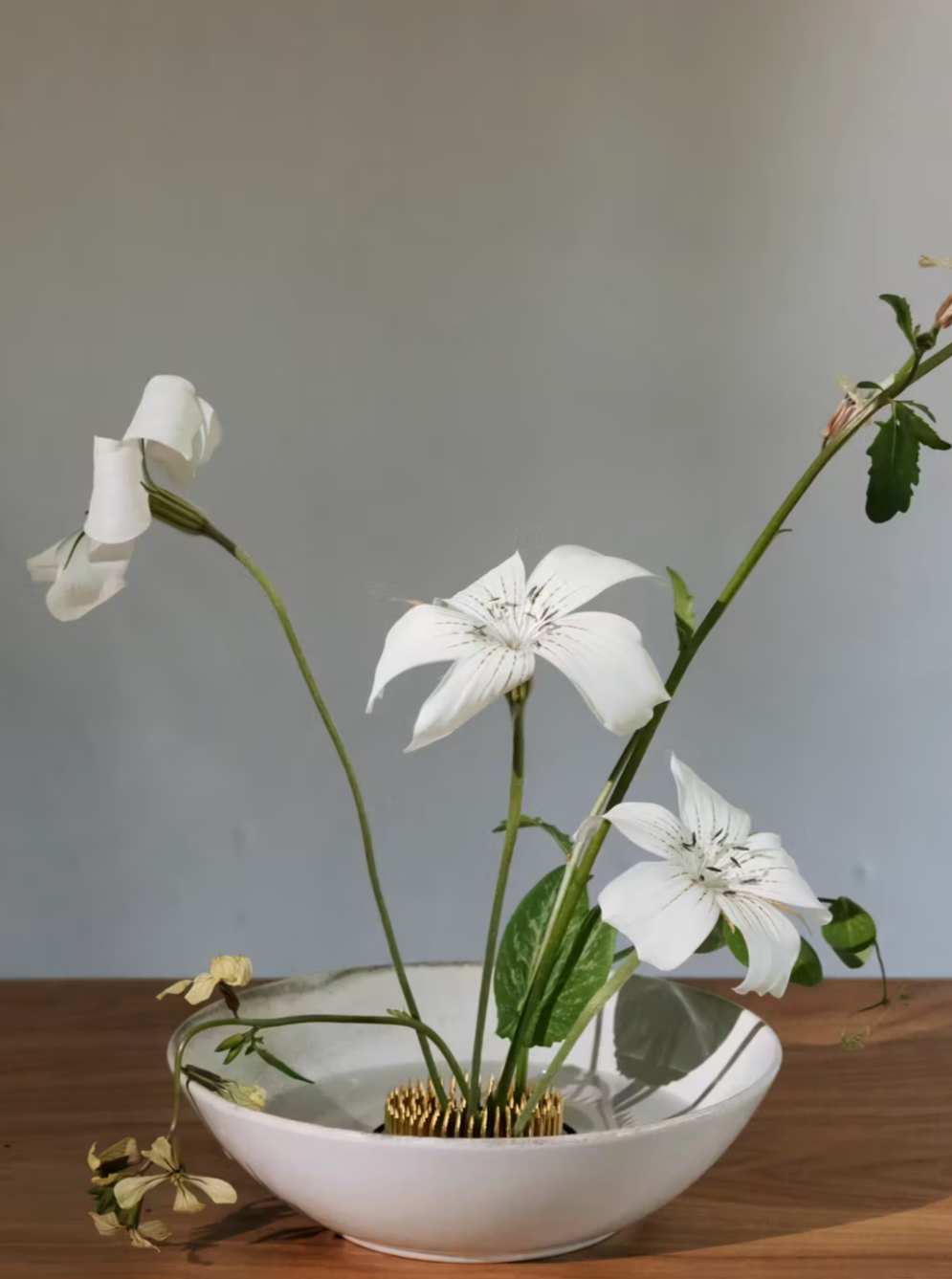 Ikebana Gift Set II