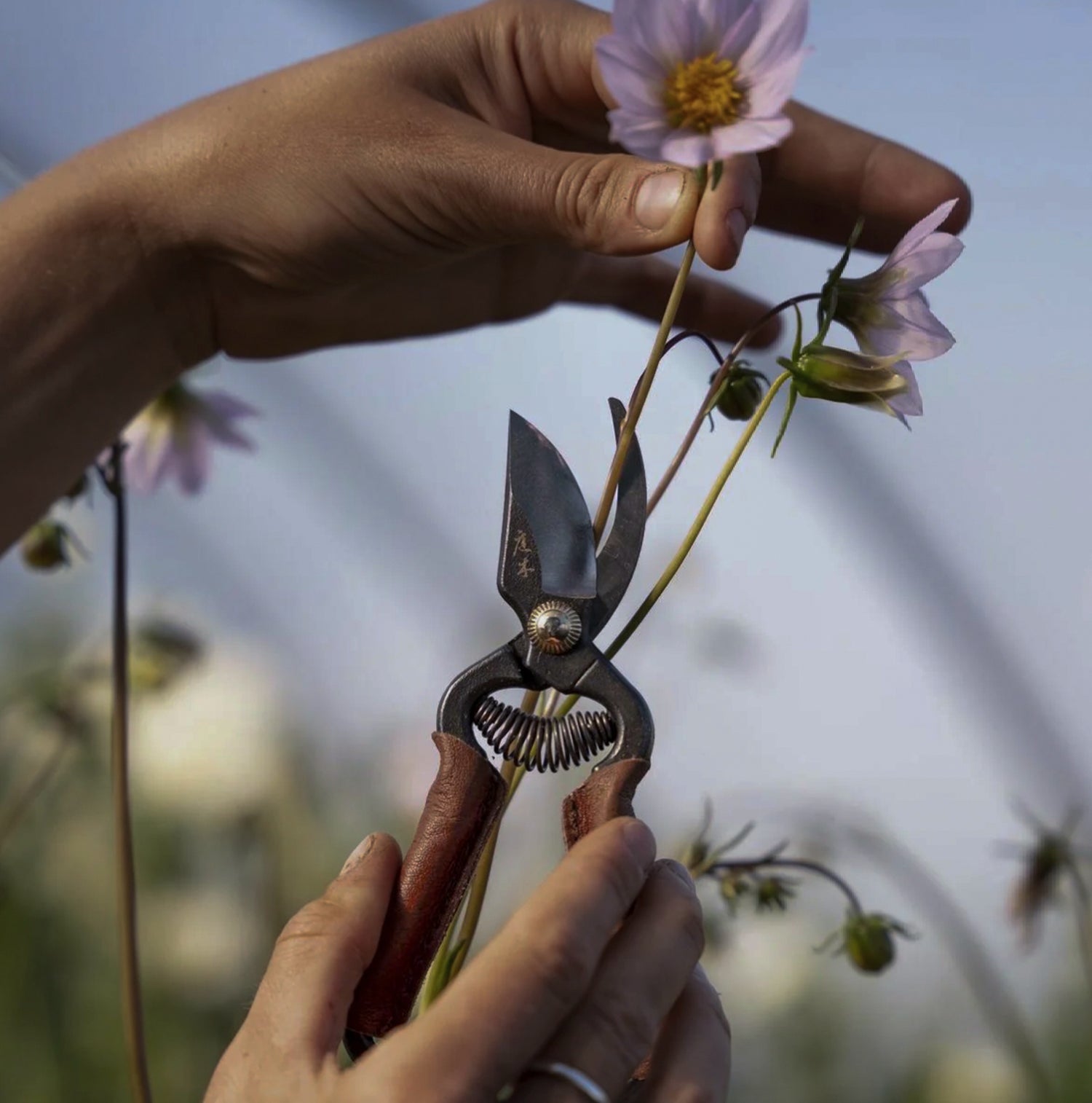 Niwaki Kenzan Flower Frog – Mujo Store