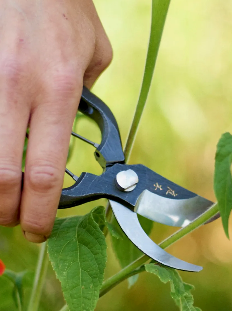 Sentei Secateurs Japanese Pruners