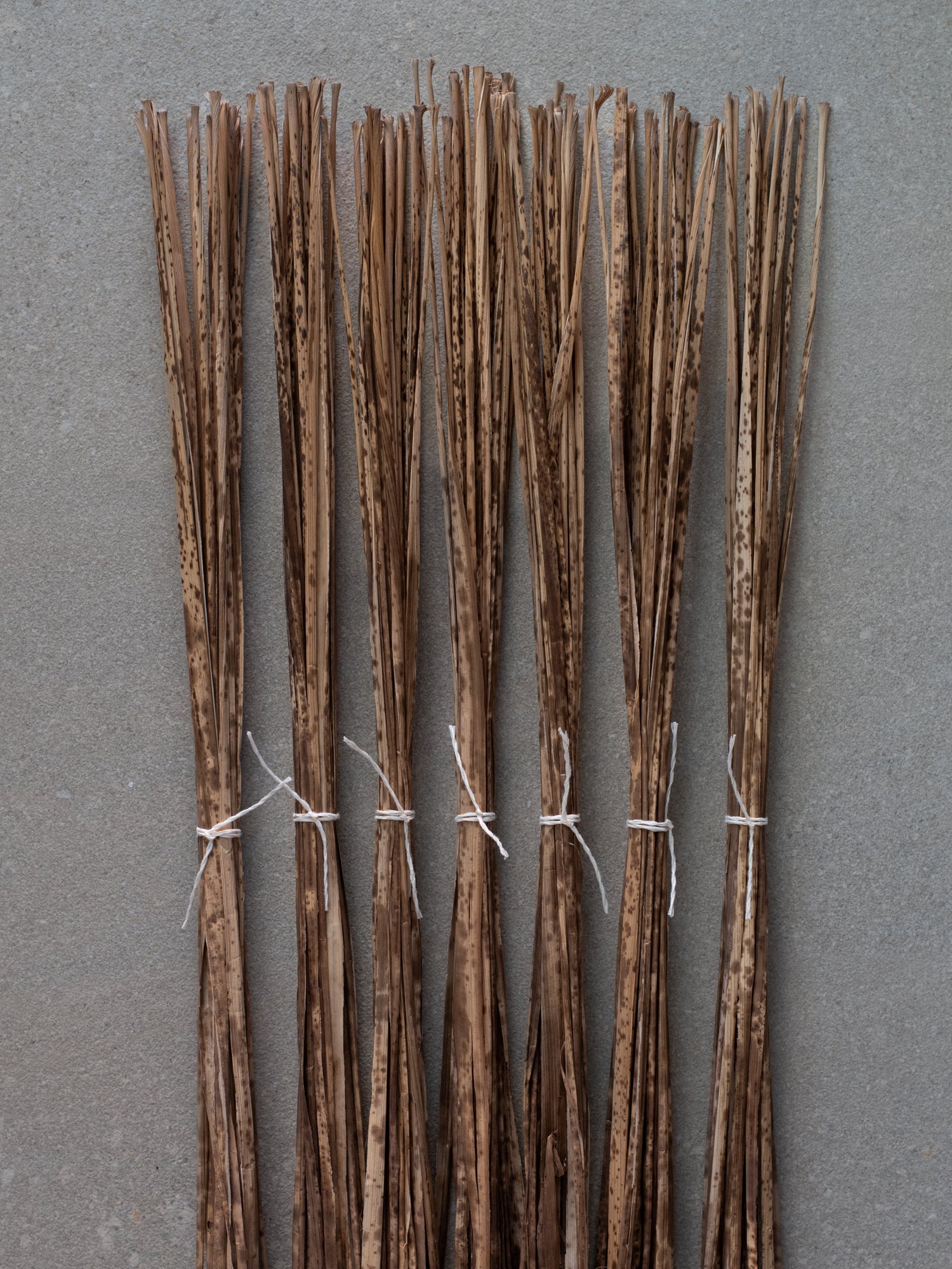 Bamboo Strings