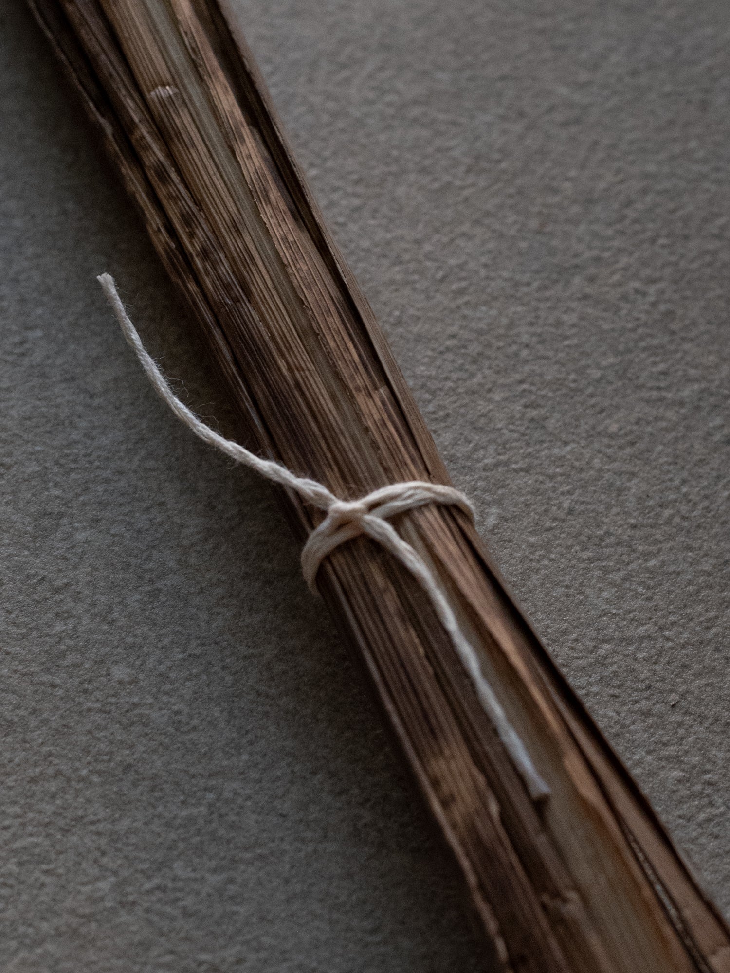 Bamboo Strings