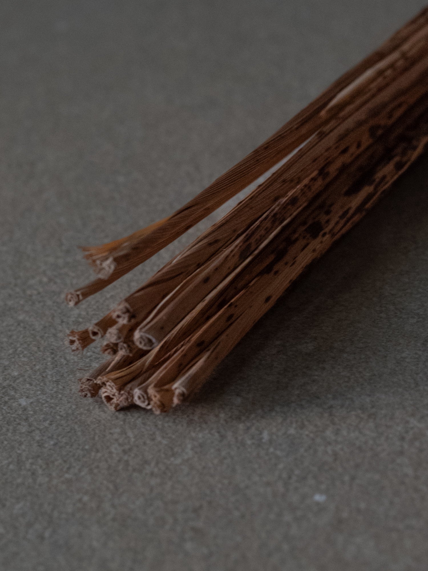 Bamboo Strings
