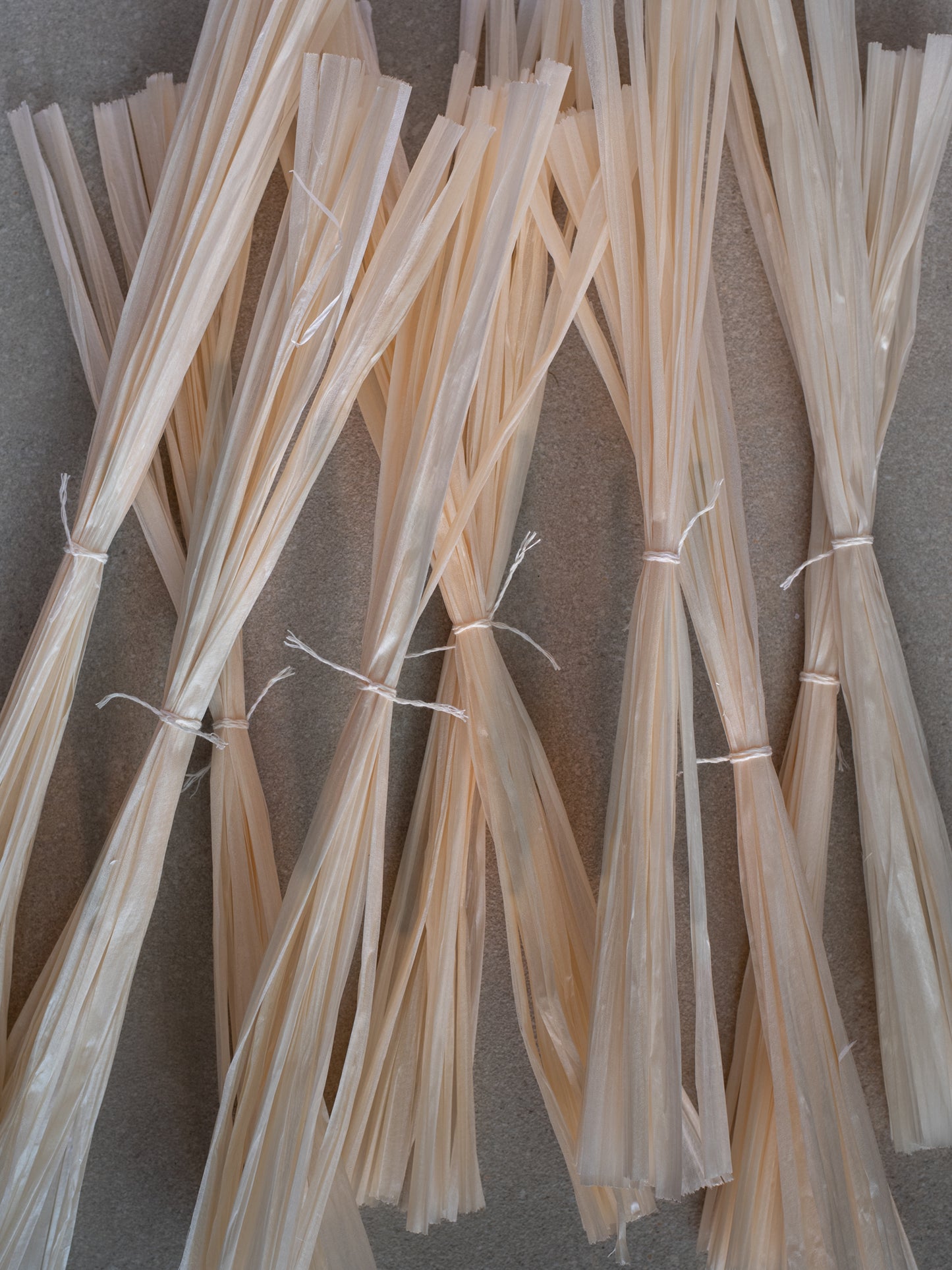 Pine Strings